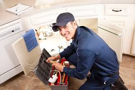 Best Pipe Inspections and Diagnostics  in Newton, TX